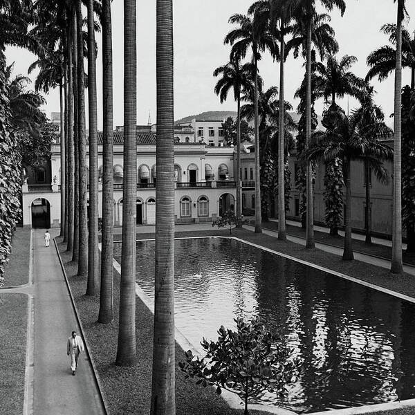 Wall Art - Photograph - Palm Trees Bordering A Pool by Luis Lemus