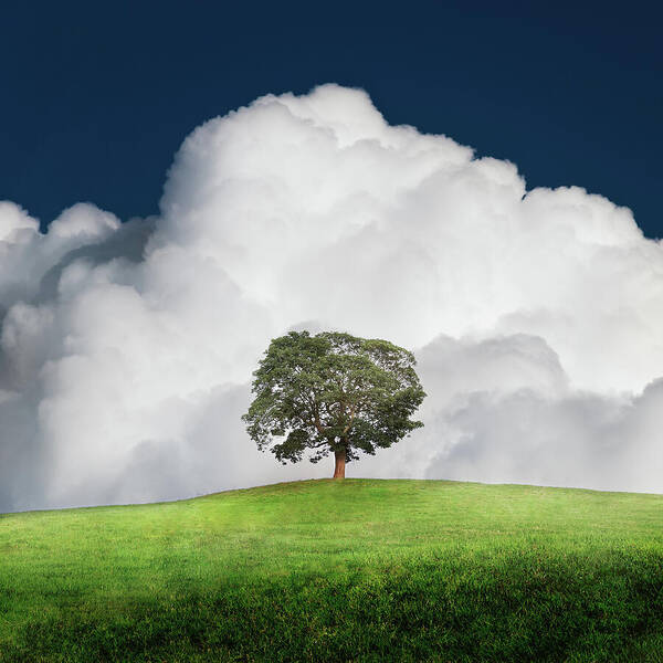 Wall Art - Photograph - A New Unity by Ian David Soar