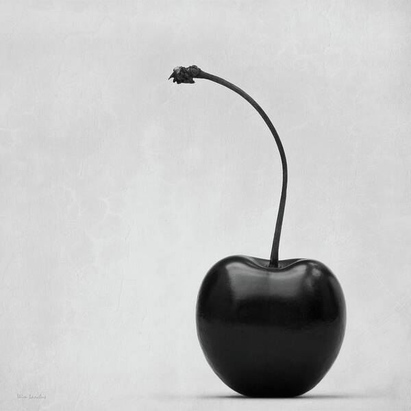 Wall Art - Photograph - Black Cherry by Wim Lanclus