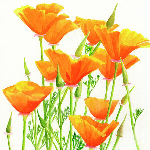 Poppy painting original flower wall art California poppies field colorful flowers small painting 12 by 8 by KomarovArt
