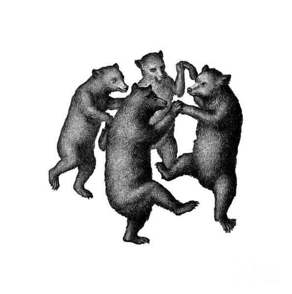 Wall Art - Drawing - Vintage Dancing Bears by Edward Fielding