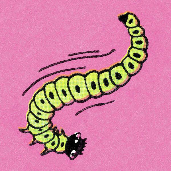 Caterpillar Drawings - Fine Art America