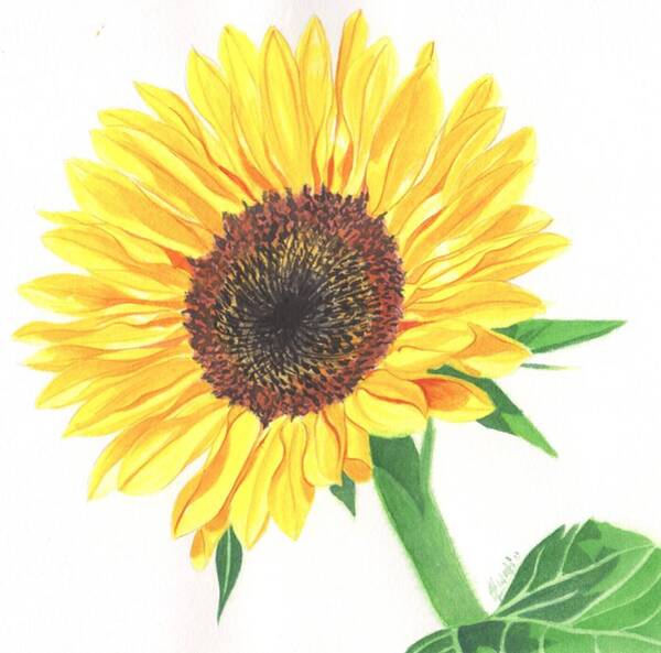  Painting - Magic of Sunflower by Swati Singh