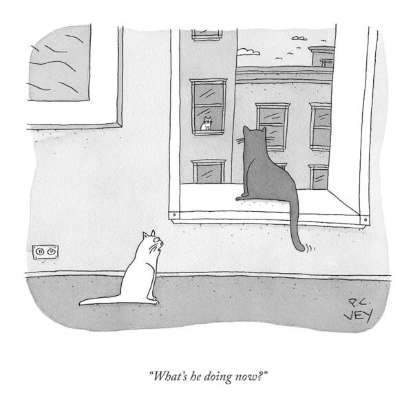 Wall Art - Drawing - What's He Doing Now? by Peter C Vey