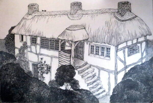 Diane Fine - Garden Cottage