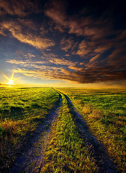 Phil Koch - A Road to Nowhere in Particular