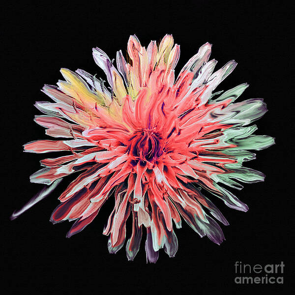 Bob and Nadine Johnston - Abstract Chrysanthemum