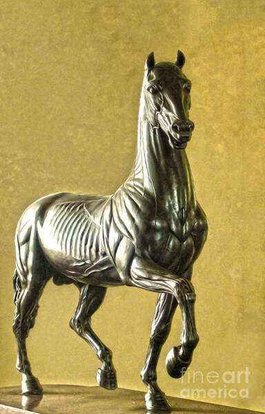 Gregory Dyer - Anatomical Horse