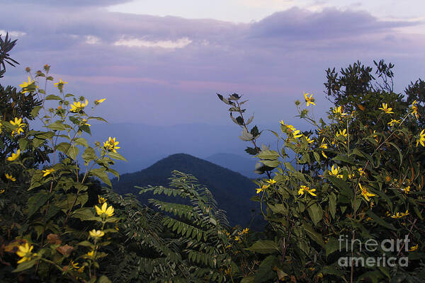 Jonathan Welch - Blue Ridge Parkway 3