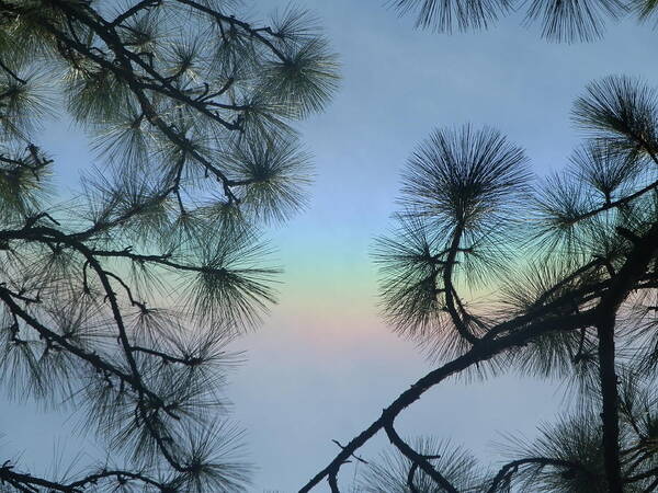 Ione Hedges - Colorful Sky