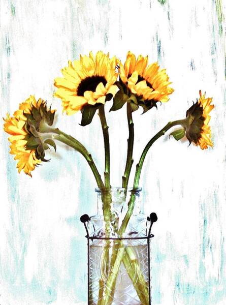 Marsha Heiken - It is a Sunflower Day