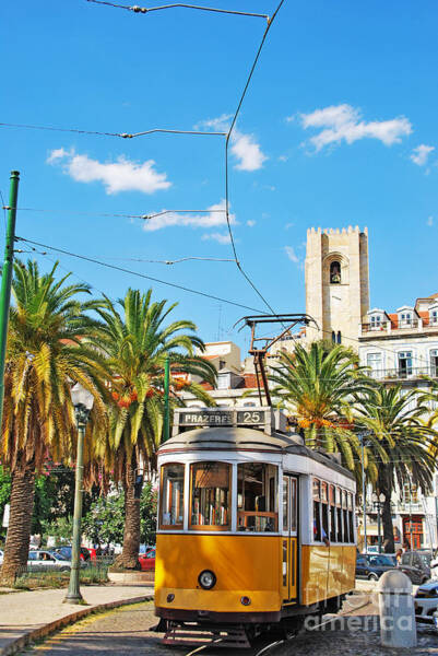 Luis Alvarenga - Lisbon tram