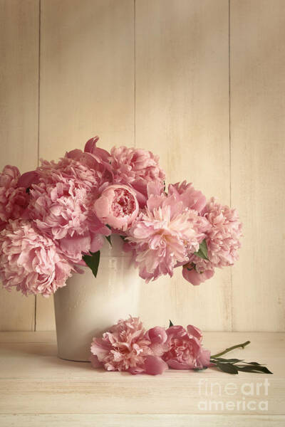 Sandra Cunningham - Peonie flowers in vase with vintage colors