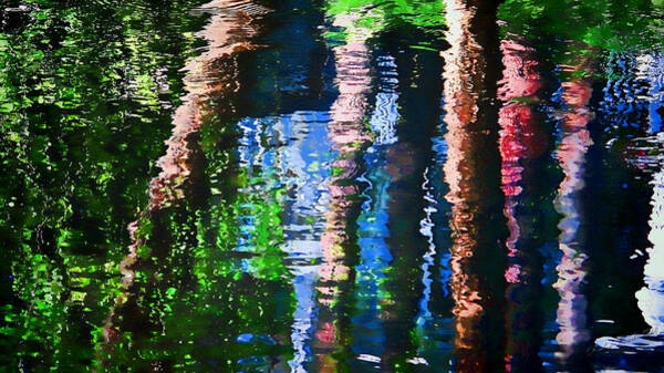 Dulce Levitz - River Reflection