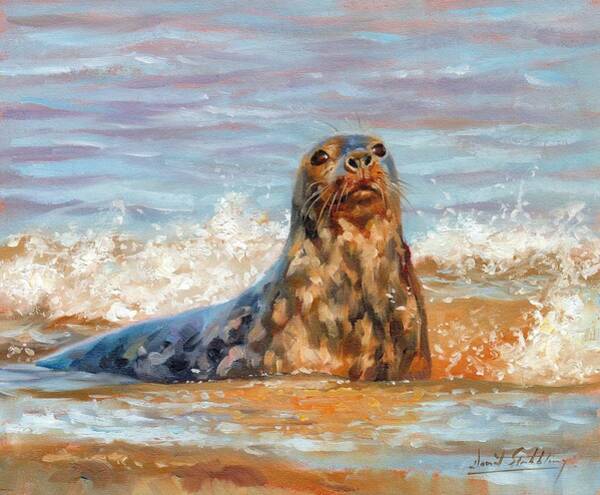 David Stribbling - Seal