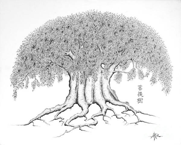 Robert Fenwick May Jr - The Boddhi Tree