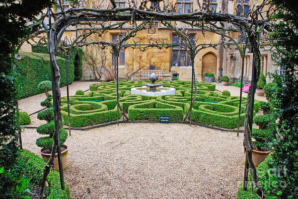 Luis Alvarenga - Topiary knot garden