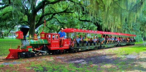 Deborah Lacoste - Train - New Orleans City Park