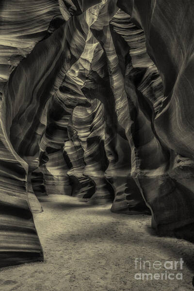 Jerry Fornarotto - Upper Antelope Slot Great Room bw Ambrotype