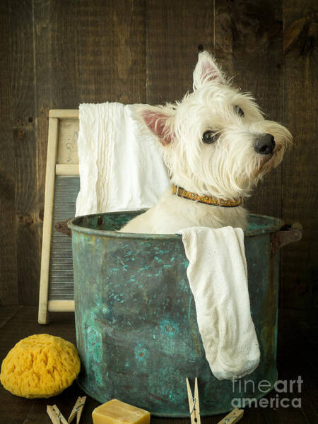 Edward Fielding - Wash Day