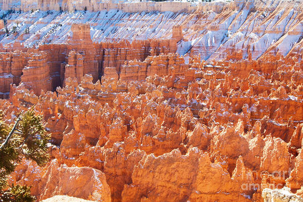 Bob and Nancy Kendrick - Dusted Hoodoos