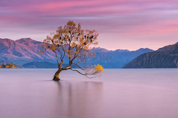 Hafiz Ismail - Calm Morning at Wanaka Lake, New Zealand