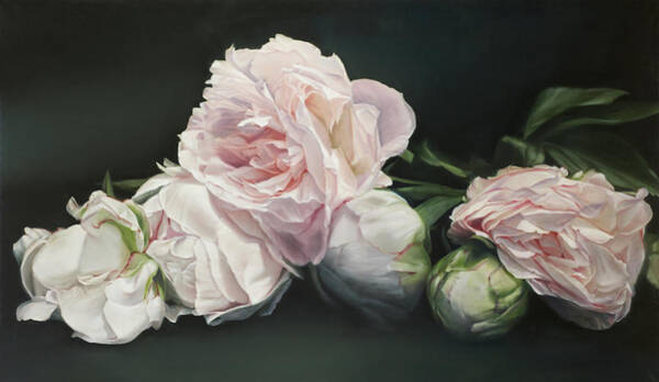 Thomas Darnell - Peonies Classical 114 X 195 cm