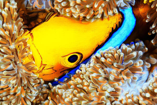 Fish Underwater Sea Life Ocean Paintings (Page #14 of 18 ...