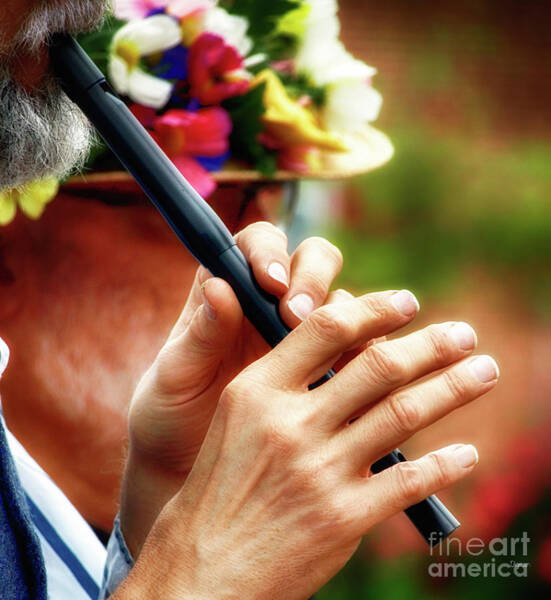 Hands That Whistle Photograph By Steven Digman