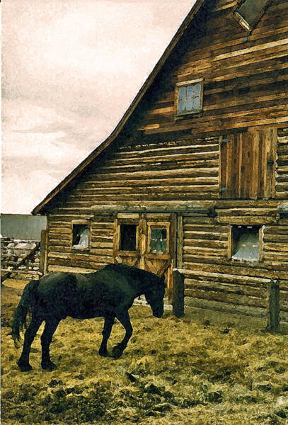 Lenore Senior - Historic Ranch Tour 1