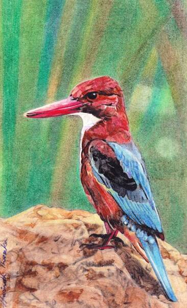 Haritharaka Nath - Kingfisher