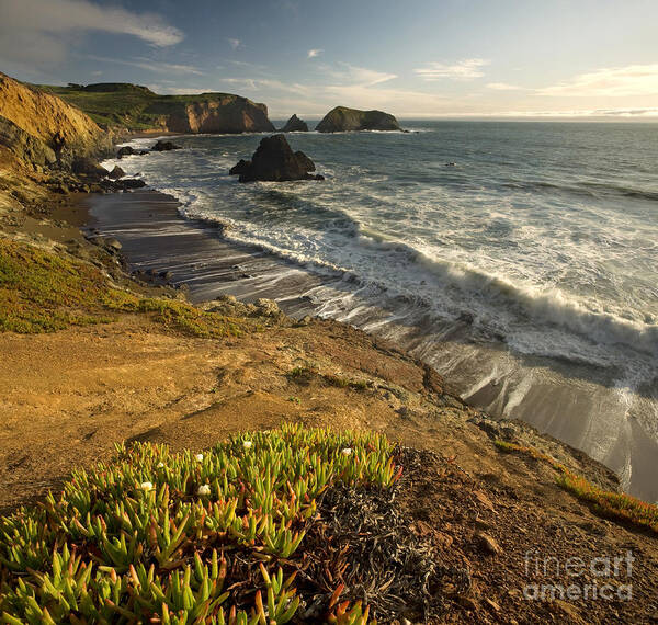 Matt Tilghman - Marin Headlands at Dusk