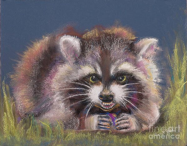 Racoon Art Page 8 Of 17 Fine Art America