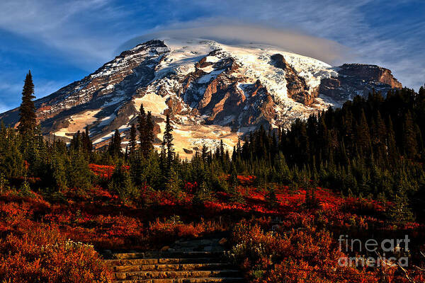 Adam Jewell - Morning Glory At Mt. Rainier