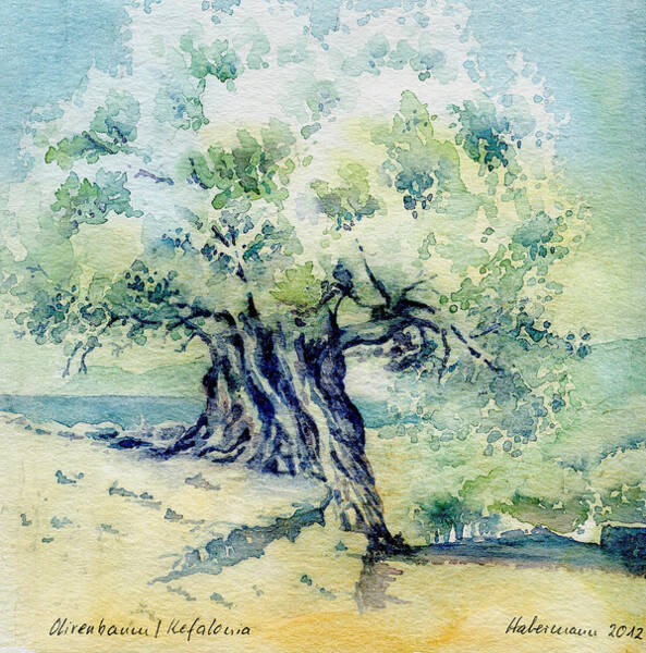 Thomas Habermann - Old olive tree