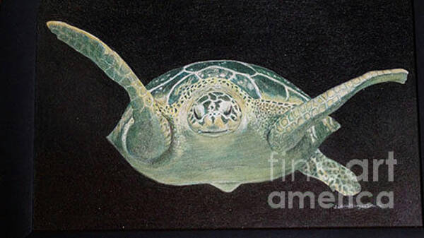 JoAnn Morgan Smith - Sea Turtle