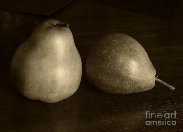 Carol Sweetwood - Sepia Pears