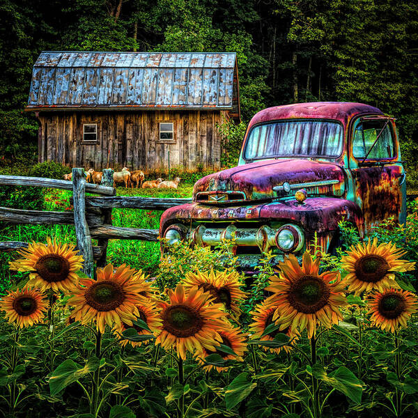 Debra and Dave Vanderlaan - Take us for a Ride in the Sunflower Patch in Summer Colors
