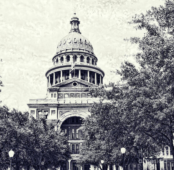 Luther Fine Art - Texas State Capitol
