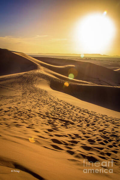 Rene Triay FineArt Photos - The Beauty of the Sahara Desert
