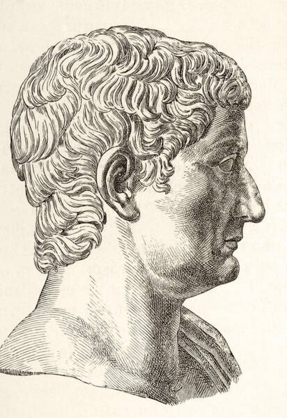 Roman Emperor Drawings | Fine Art America