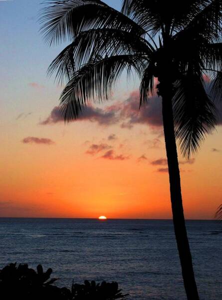 Dan Pyle - Waikiki Sunset