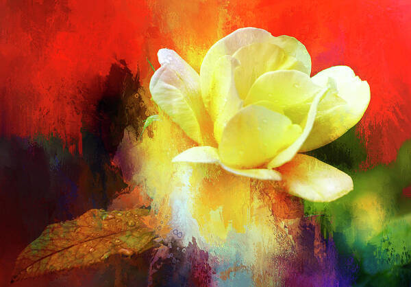 Rachel Bilodeau - Yellow Rose Abstract