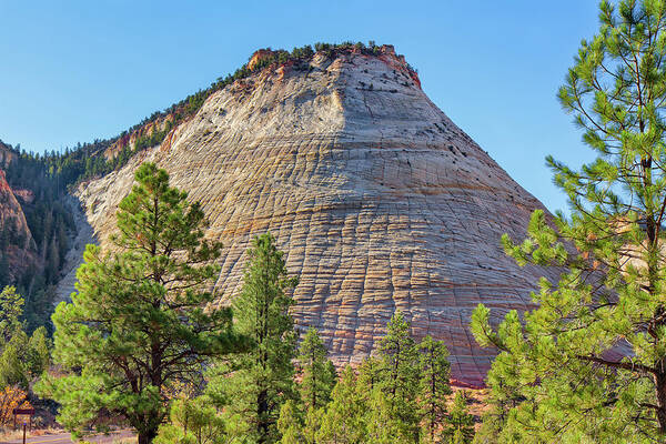 John M Bailey - Checkerboard Mesa