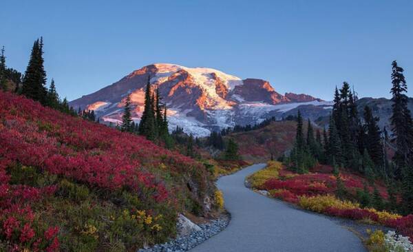 Lynn Hopwood - Fall colors on the mountain