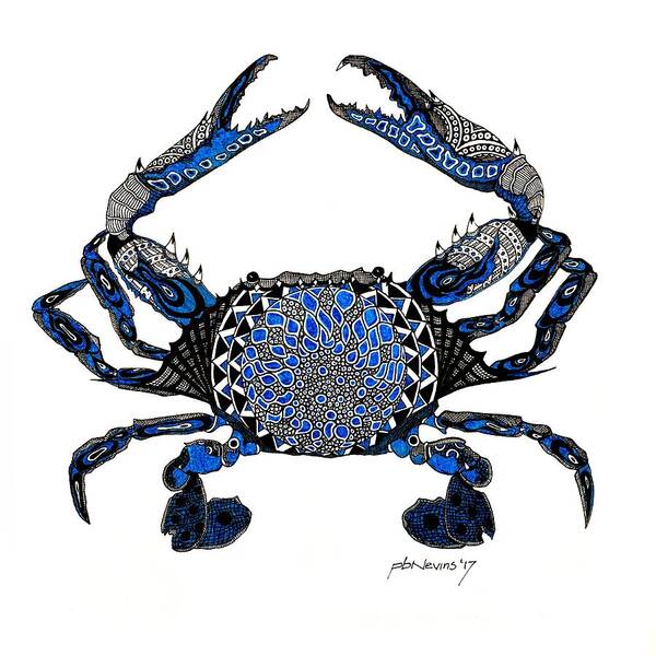 Blue Crab Drawings | Fine Art America