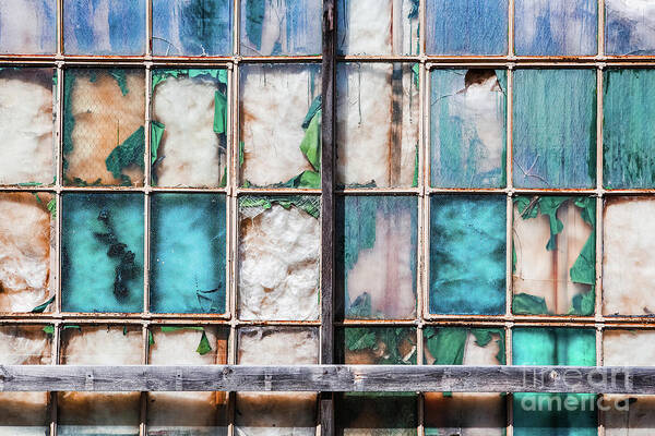 Suzanne Tucker - Old industrial windows 