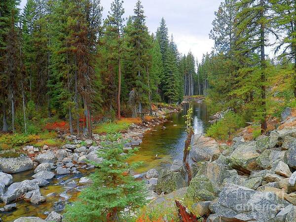 Art Sandi - Relaxing October Nature Photography Payette National Forest