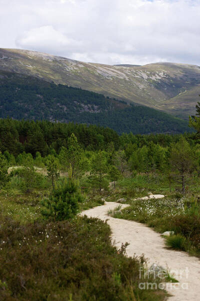 Liz Alderdice - The Beauty of Speyside