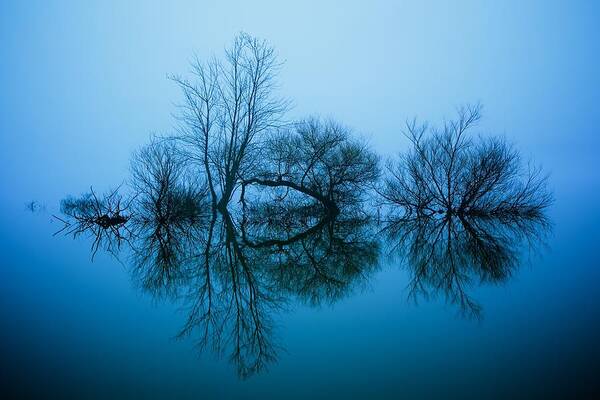 Tim Bartsch - The Dead Blue Trees